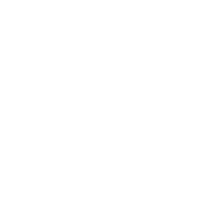 wisag